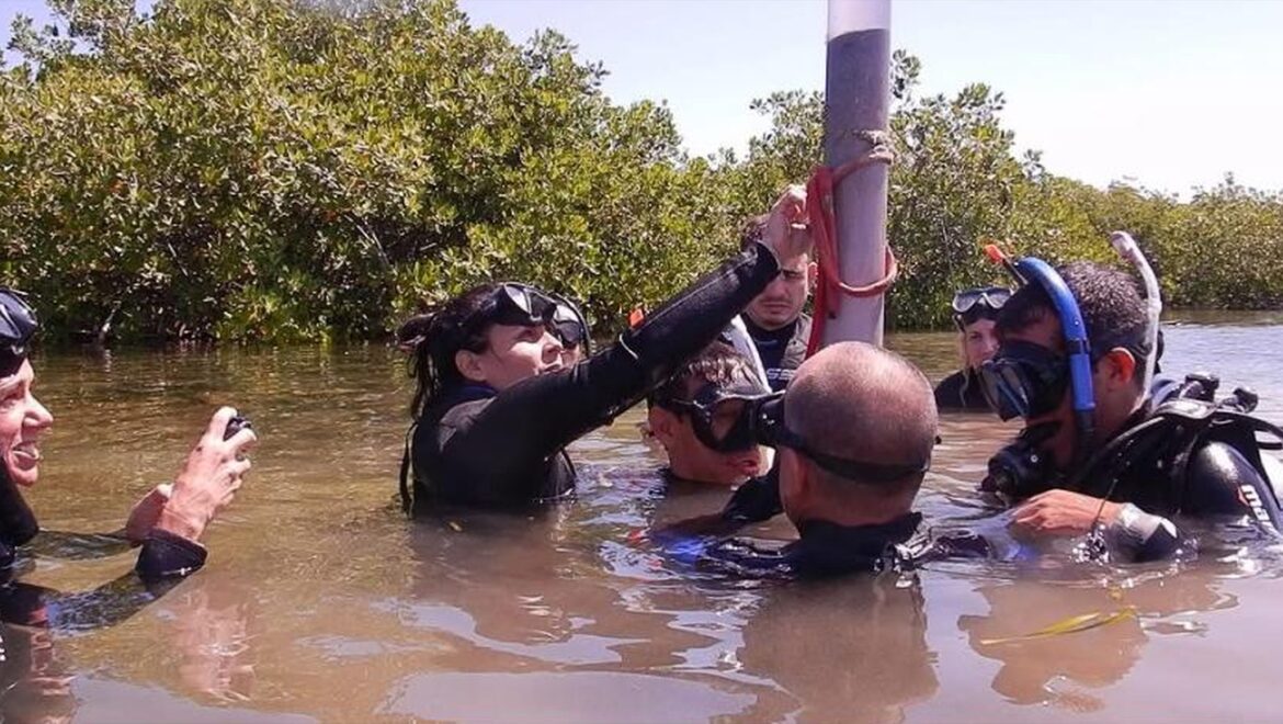Ocean Acidification Influences Mercury Metabolism in Marine Life: IAEA Research