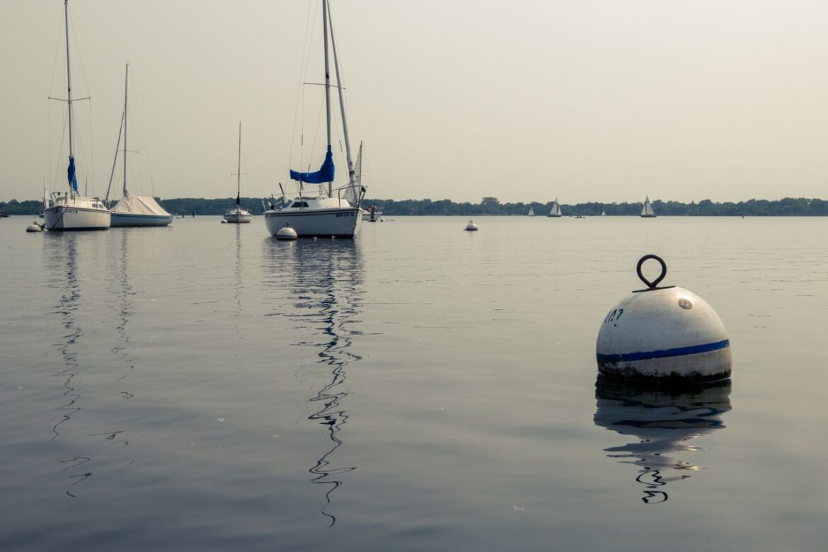 Fugro to Enhance Marine Mammal Monitoring in Ireland