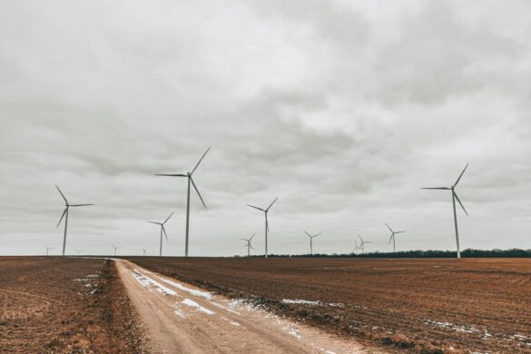 Axpo Launches First Wind Farm in Finland